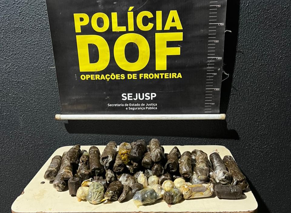 Foto:Divulgação