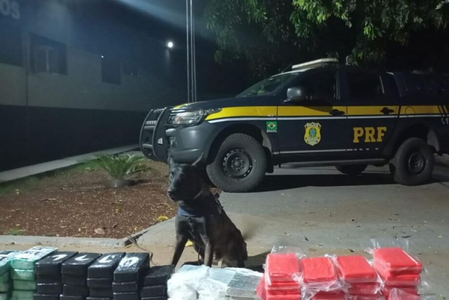 Foto:Divulgação