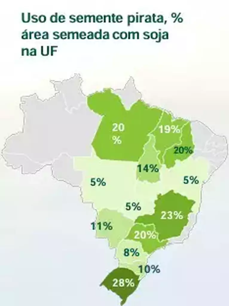divulgação